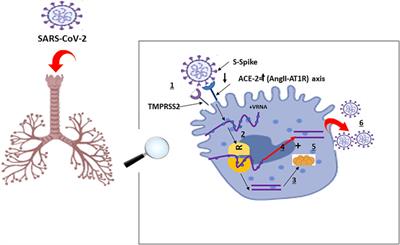 Tocilizumab and COVID-19: Timing of Administration and Efficacy